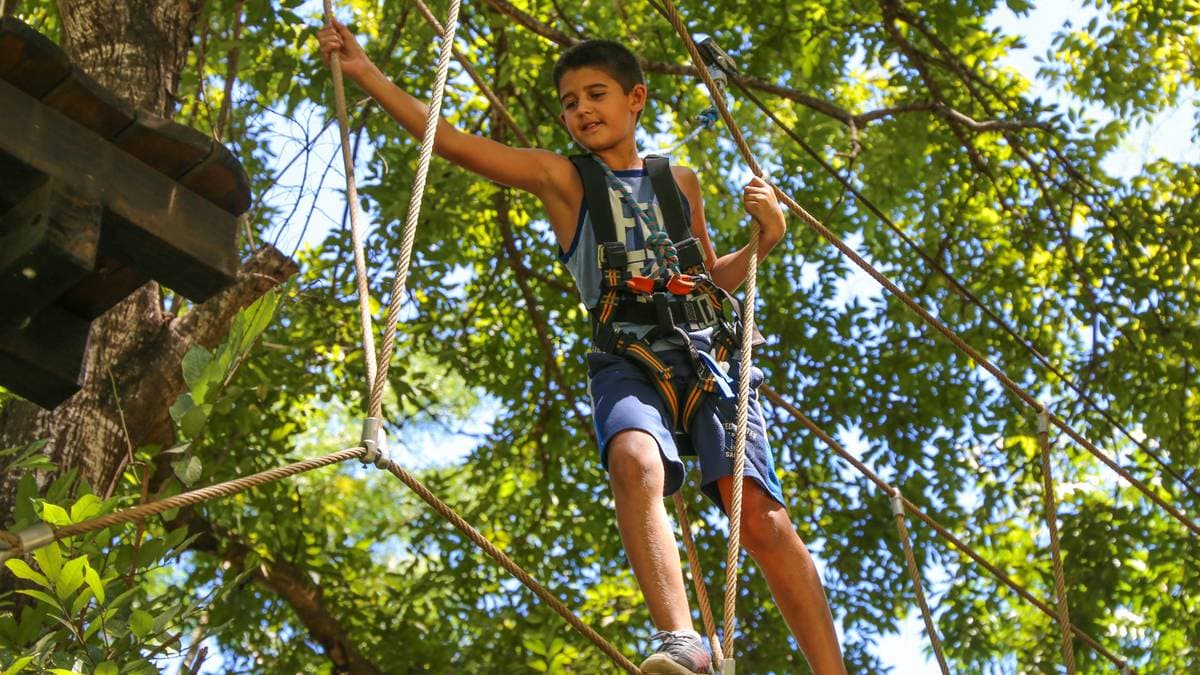 Tree-Top Challenge