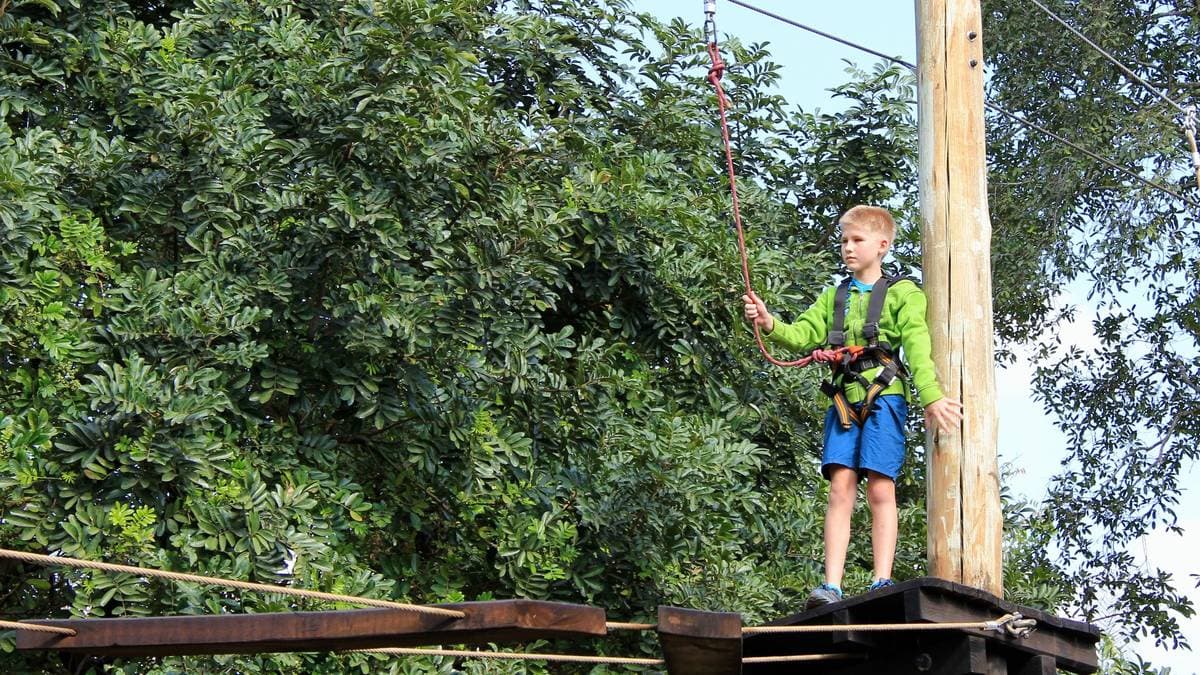 Tree-Top Challenge — photo 3