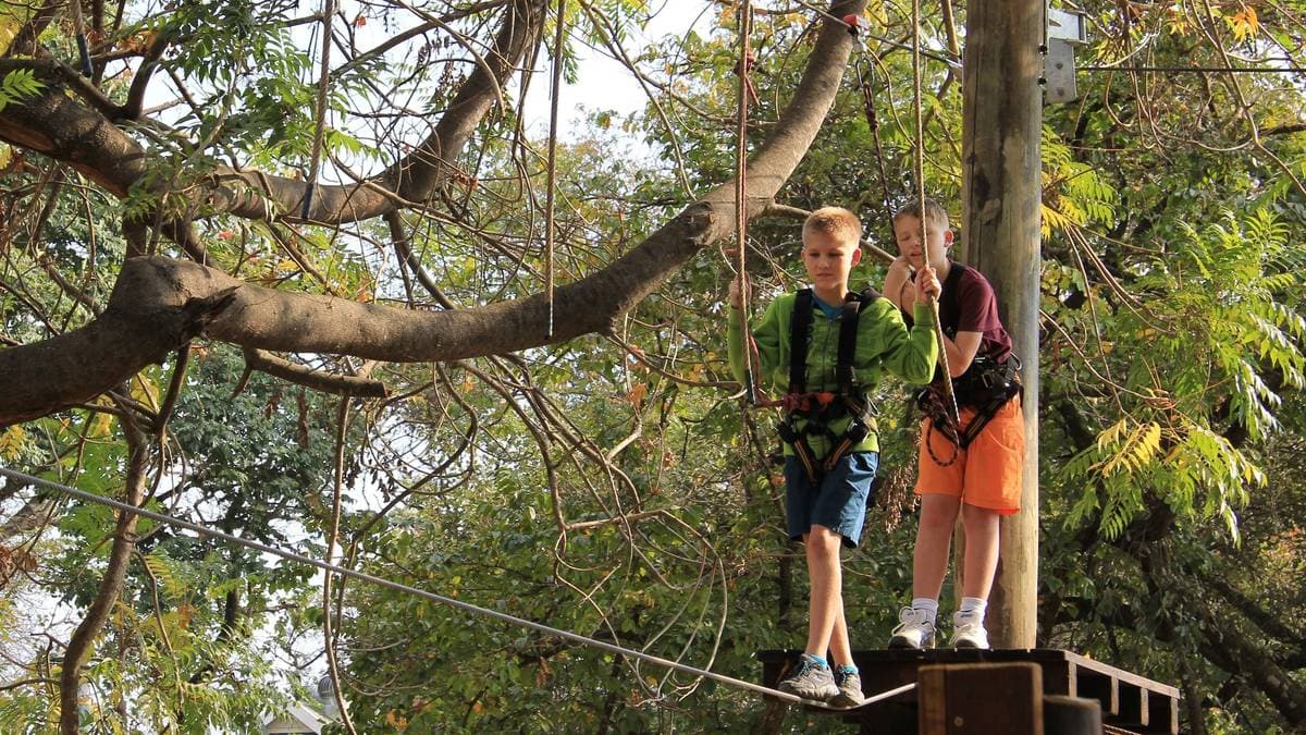 Tree-Top Challenge — photo 4