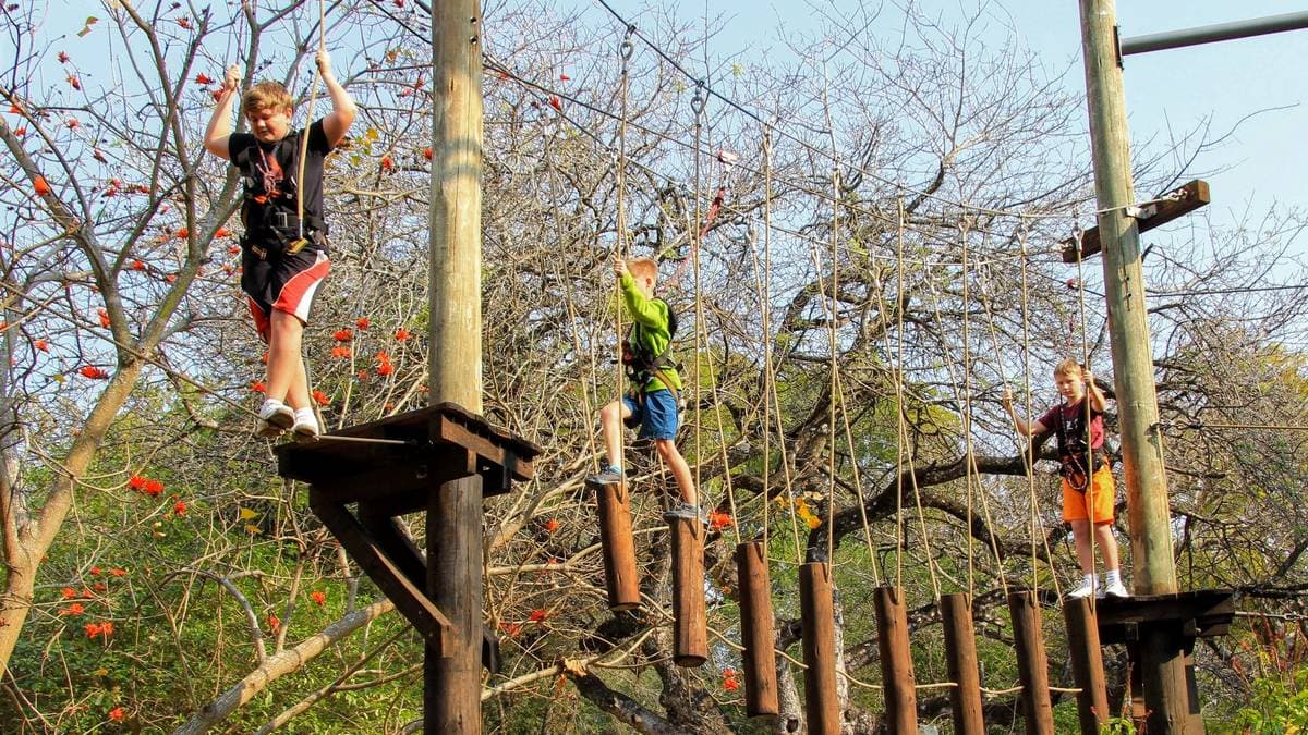 Tree-Top Challenge — photo 5