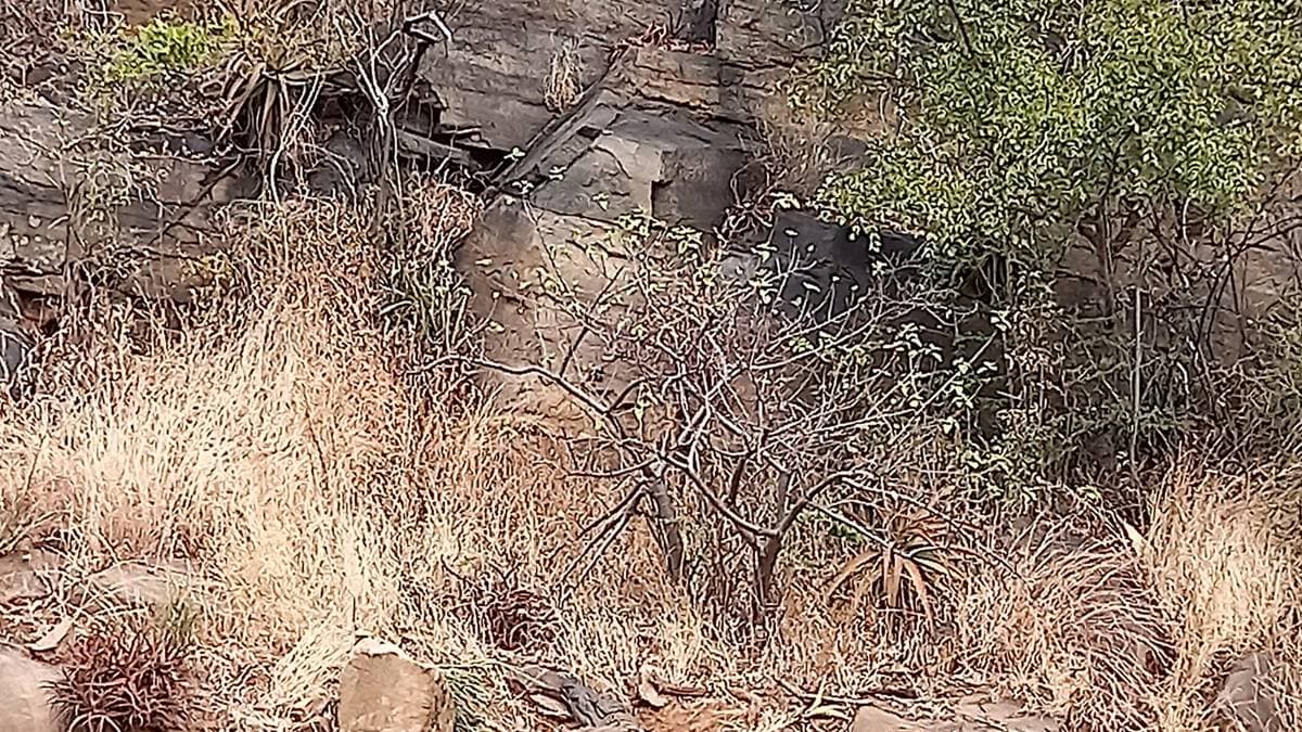 90 Minutes Blyde River Canyon Boat Cruise — photo 9