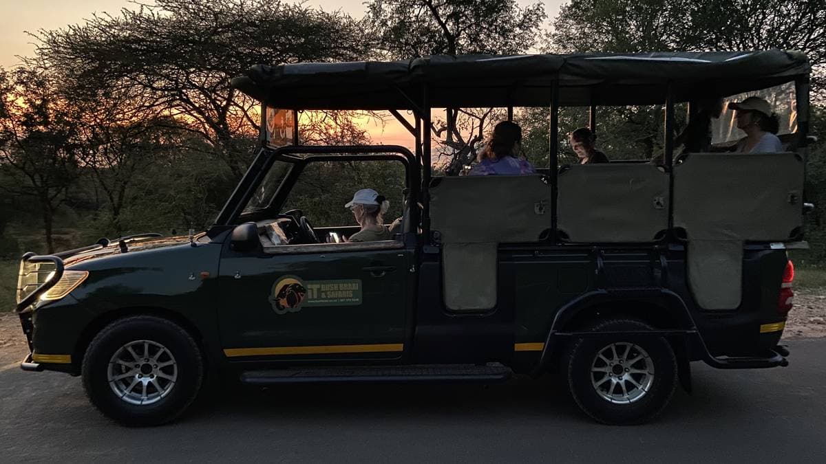 Full Day Kruger Safari