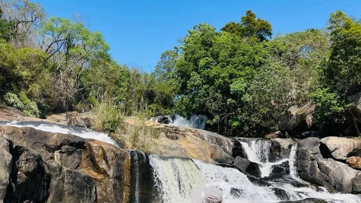 Sabie River Hiking Trail 12km