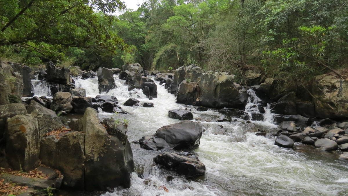 Sabie River Hiking Trail 6km