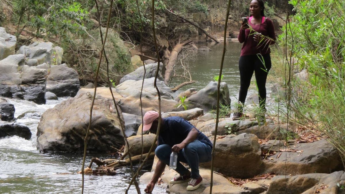 Sabie River Hiking Trail 6km — photo 2