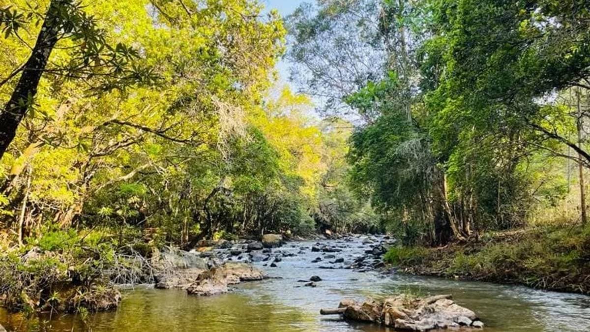 Sabie River Hiking Trail 6km — photo 3