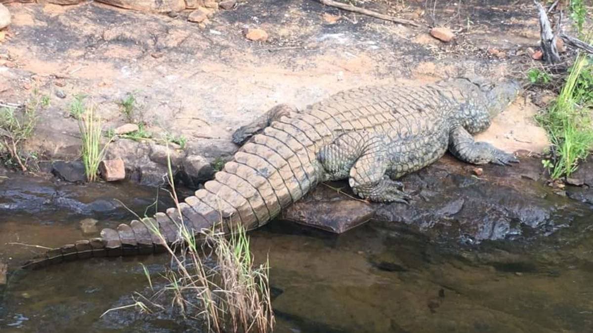 90 Minutes Blyde River Canyon Boat Cruise — photo 10
