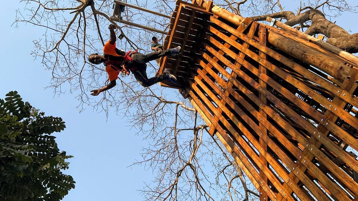 Tower Jump
