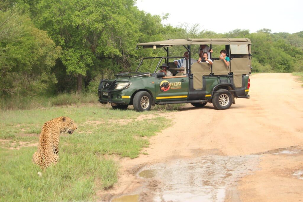 Full Day Kruger Safari